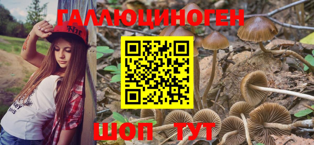 Галлюциногенные грибы ЛСД  Вход с VPN  Шебекино 